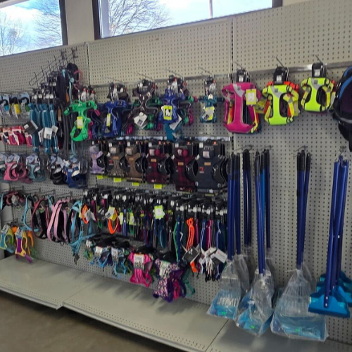 Store aisle with a variety of colorful pet leashes and harnesses displayed on a pegboard. Bright lighting and a clean, organized appearance convey a welcoming tone.