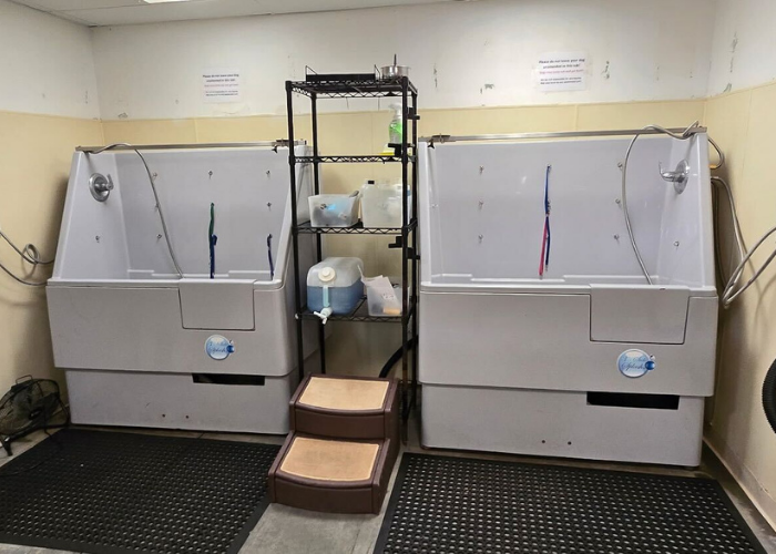 Two elevated dog wash stations with hoses and shampoo bottle holders, separated by a shelving unit with towels and supplies. It conveys a clean, organized space.