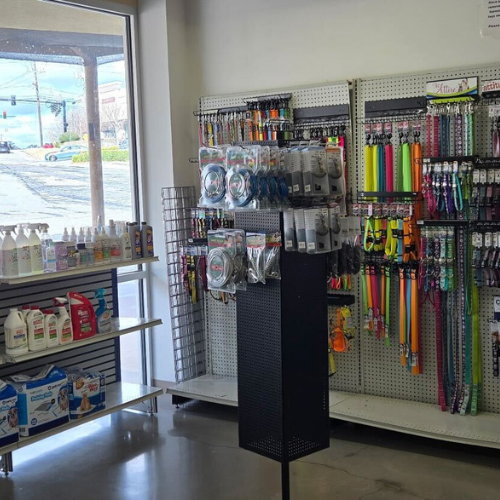 Pet supply store interior with leashes and collars displayed on pegboards. Sunlight streams through a window showcasing street outside. Bright, organized ambiance.