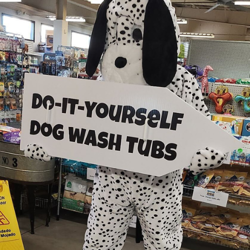A person in a Dalmatian costume holds a sign reading 