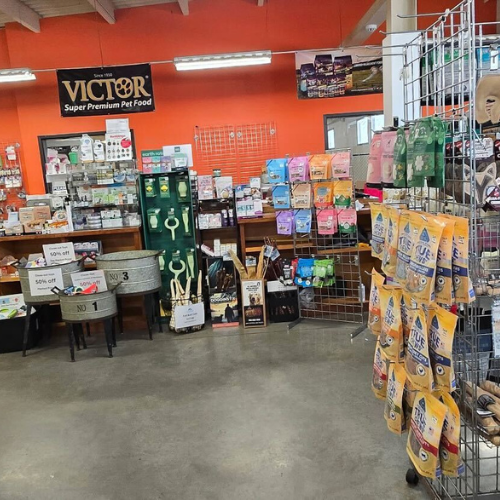 A vibrant pet store interior with orange walls displays various pet food bags, toys, and accessories. A 