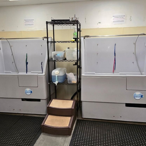 Professional pet wash station with two deep tubs, a central shelving unit with cleaning supplies, and steps leading up. The setting is clean and organized.