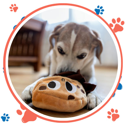 Dog SuppliesA dog playfully nibbles a plush, cookie-shaped toy on the floor. The image is framed with cartoon paw prints, adding a fun and lively touch.