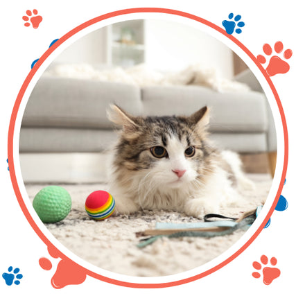 Cat SuppliesA fluffy cat lies on a carpet in a living room, surrounded by colorful balls. The scene is framed with playful red and blue paw prints, creating a cozy, playful vibe.