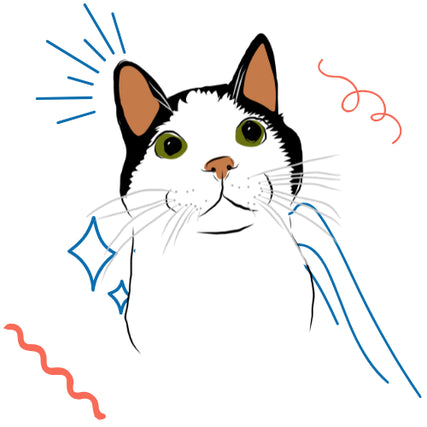 Cat Food