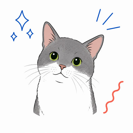 Cat Supplies