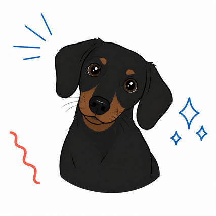 Dog Supplies
