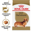 Royal Canin Breed Health Nutrition Dachshund Adult Dry Dog Food