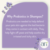 Health Extension ARI Probiotic Sensitive Skin Shampoo