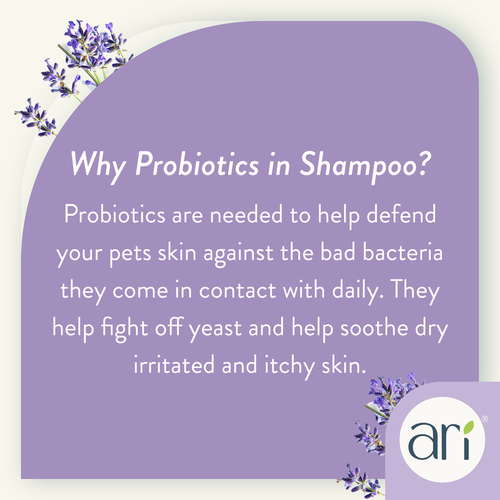 Health Extension ARI Probiotic Sensitive Skin Shampoo