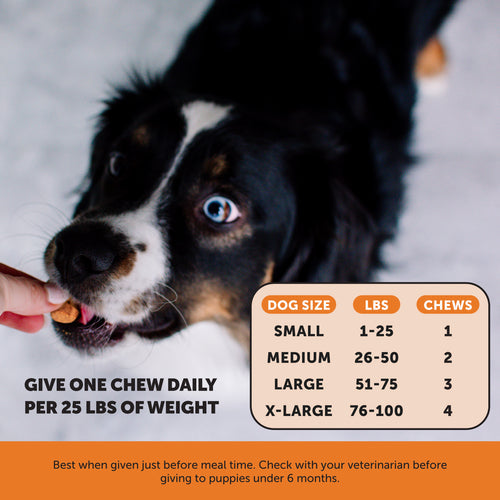 Pet Honesty Hip + Joint Health Supplement Chicken Flavor for Dogs