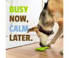 Pet Naturals BusyButter Calming Supplement for Dogs