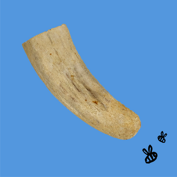Honey I'm Home! Horn Core Natural Honey Coated Buffalo Chew