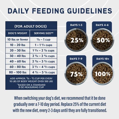 Natural Balance Digestive & Immune Health Lamb & Oatmeal Formula Dry Dog Food