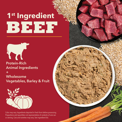 ACANA Classics Pâté Beef Recipe Wet Dog Food