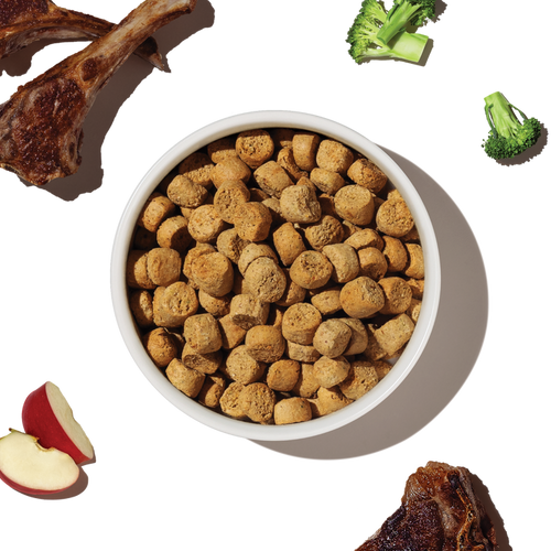 The Honest Kitchen Grain Free Lamb Clusters Dry Dog Food
