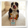 Brutus Bone Broth - Beef Wet Dog Food