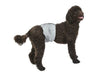 PoochPad Large PoochPants™ Male Wrap 22″ to 28″