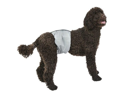 PoochPad Large PoochPants™ Male Wrap 22″ to 28″