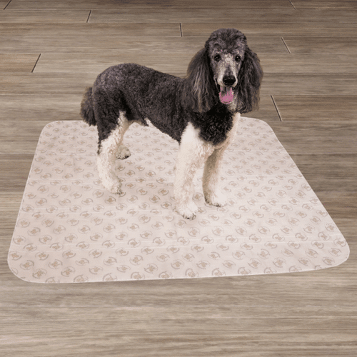 PoochPad XX-Large PoochPad® 48″ x 48″