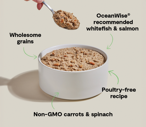 Open Farm Goodbowl™ Wild-Caught Whitefish & Salmon Pâté for Dogs