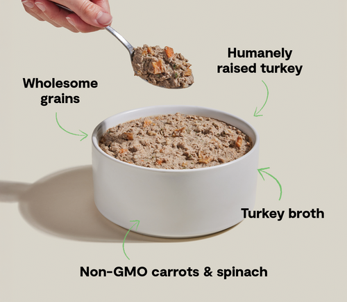Open Farm Goodbowl™ Homestead Turkey Pâté for Dogs