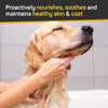 Silver Honey Skin & Coat Care Nourish & Soothe Shampoo with Odor Neutralizer