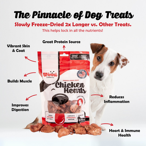 Winni Treats Freeze Dried Chicken Hearts Dog Treats - 100% Natural High Protein Snack Made in USA