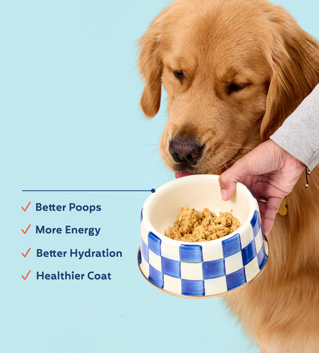 My Perfect Pet Chicken Snuggles Frozen Dog Food