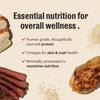 The Honest Kitchen Whole Grain Chicken Essential Clusters Dry Dog Food