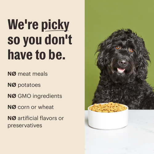 The Honest Kitchen Whole Grain Chicken Essential Clusters Dry Dog Food