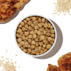 The Honest Kitchen Whole Grain Chicken Essential Clusters Dry Dog Food