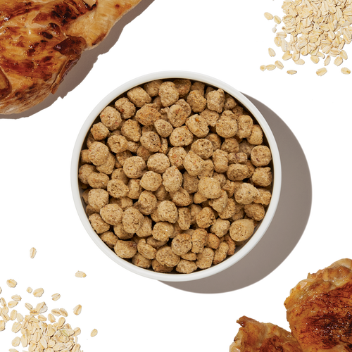 The Honest Kitchen Whole Grain Chicken Essential Clusters Dry Dog Food